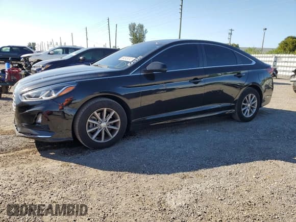 ✅ 2019 Hyundai Sonata SE • VIN: 5NPE24AF4KH804995 • Лот: 69242412. Опубликован ранее на Copart с пробегом 35 514 миль. Бесплатный доступ к архиву аукционных продаж из США и подробный отчёт об истории автомобиля на DreamBid. Изображение 1.
