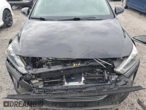 ✅ 2019 Hyundai Ioniq SEL • VIN: KMHC75LC8KU106716 • Lot: 53652815. Wystawiony na Copart z przebiegiem 49 948 mil. Bezpłatny archiwum sprzedaży aukcyjnych z USA i szczegółowy raport historii pojazdu na DreamBid. Zdjęcie 11.