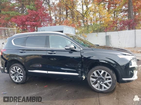 ✅ 2023 Hyundai Santa Fe Calligraphy • VIN: 5NMS5DALXPH657750 • Lot: 43637407. Listed on IAAI with 16,900 mi. Free auction sales archive from the USA and detailed vehicle history report at DreamBid. Image 13.