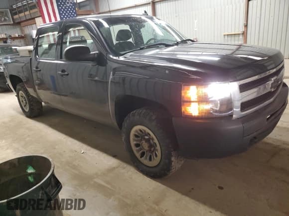 ✅ 2010 Chevrolet Silverado 1500 Work Truck • VIN: 3GCRKPE36AG285779 • Lot: 49158175. Listed on Copart with 135,594 mi. Free auction sales archive from the USA and detailed vehicle history report at DreamBid. Image 4.