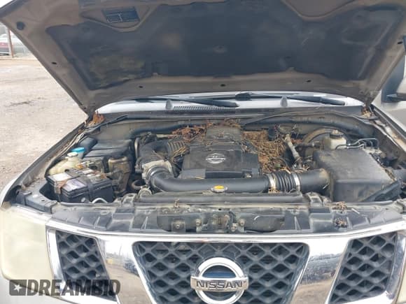 ✅ 2006 Nissan Pathfinder SE • VIN: 5N1AR18U36C600232 • Lot: 41570369. Listed on IAAI with 263,910 mi. Free auction sales archive from the USA and detailed vehicle history report at DreamBid. Image 10.