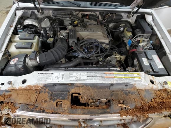 ✅ 1998 Ford Explorer XLT • VIN: 1FMZU32P2WZC01373 • Lot: 88286335. Wystawiony na Copart z przebiegiem 213 872 mil. Bezpłatny archiwum sprzedaży aukcyjnych z USA i szczegółowy raport historii pojazdu na DreamBid. Zdjęcie 14.