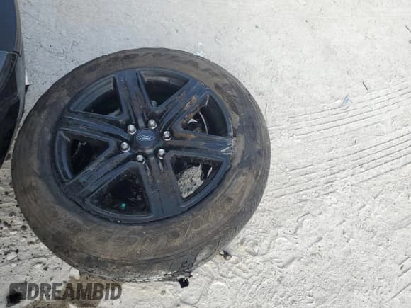 ✅ 2021 Ford Expedition Max XLT • VIN: 1FMJK1HT1MEA47707 • Лот: 43869175. Опубликован ранее на Copart с пробегом Не указан. Бесплатный доступ к архиву аукционных продаж из США и подробный отчёт об истории автомобиля на DreamBid. Изображение 13.