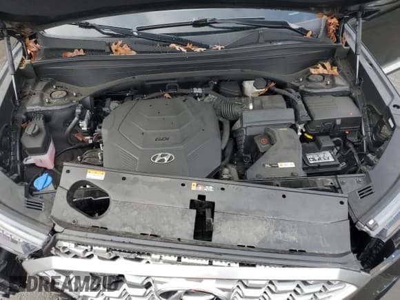 ✅ 2022 Hyundai Palisade SEL • VIN: KM8R3DHE0NU345126 • Lot: 82286284. Listed on Copart with 39,191 mi. Free auction sales archive from the USA and detailed vehicle history report at DreamBid. Image 13.