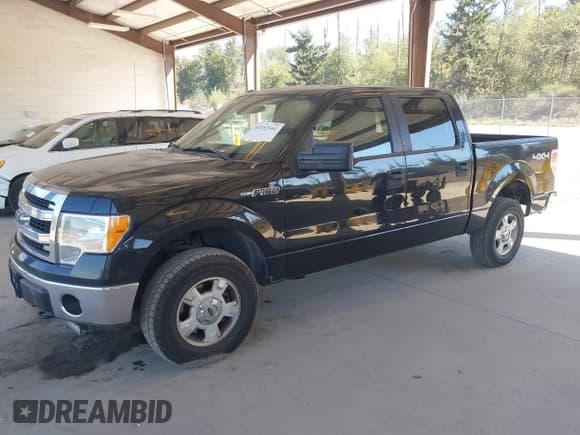 ✅ 2014 Ford F-150 XL • VIN: 1FTFW1EF0EFA96762 • Lot: 43252561. Listed on IAAI with 160,124 mi. Free auction sales archive from the USA and detailed vehicle history report at DreamBid. Image 2.