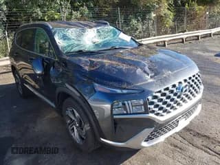 ✅ 2022 Hyundai Santa Fe SEL • VIN: 5NMS24AJ3NH397096 • Lot: 43339202. Wystawiony na IAAI z przebiegiem 57 131 mil. Bezpłatny archiwum sprzedaży aukcyjnych z USA i szczegółowy raport historii pojazdu na DreamBid. Zdjęcie 1.