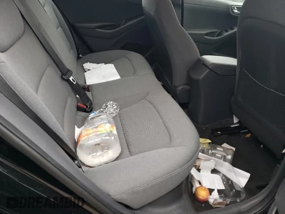 ✅ 2020 Hyundai Ioniq Blue • VIN: KMHC65LC2LU235104 • Lot: 43269785. Wystawiony na Copart z przebiegiem 58 298 mil. Bezpłatny archiwum sprzedaży aukcyjnych z USA i szczegółowy raport historii pojazdu na DreamBid. Zdjęcie 10.