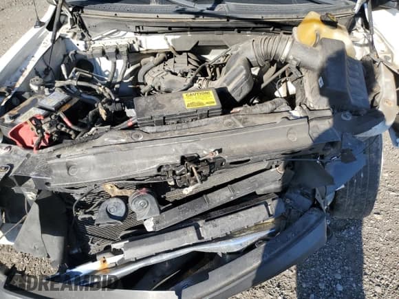 ✅ 2014 Ford F-150 XL • VIN: 1FTMF1EM3EFA34925 • Lot: 84563965. Wystawiony na Copart z przebiegiem 116 803 mil. Bezpłatny archiwum sprzedaży aukcyjnych z USA i szczegółowy raport historii pojazdu na DreamBid. Zdjęcie 11.