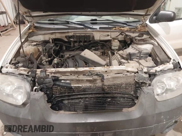 ✅ 2005 Ford Escape XLT • VIN: 1FMYU93195KA05141 • Lot: 43591730. Listed on IAAI with 225,883 mi. Free auction sales archive from the USA and detailed vehicle history report at DreamBid. Image 10.