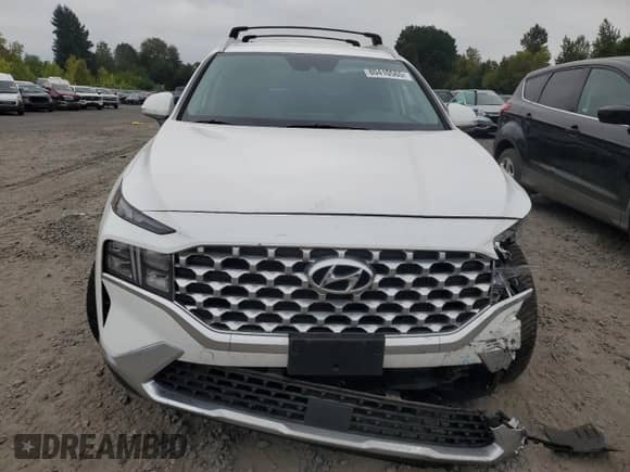 2023 Hyundai Santa Fe SEL Convenience with VIN KM8S6DA24PU091156, listed as a Copart auction lot 80410565 with 25,138 mi miles and Salvage title. Bid and sale history available at DreamBid. Image 5.