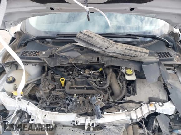 ✅ 2019 Ford Escape SE • VIN: 1FMCU9GDXKUA21623 • Lot: 43615704. Wystawiony na IAAI z przebiegiem 89 170 mil. Bezpłatny archiwum sprzedaży aukcyjnych z USA i szczegółowy raport historii pojazdu na DreamBid. Zdjęcie 10.