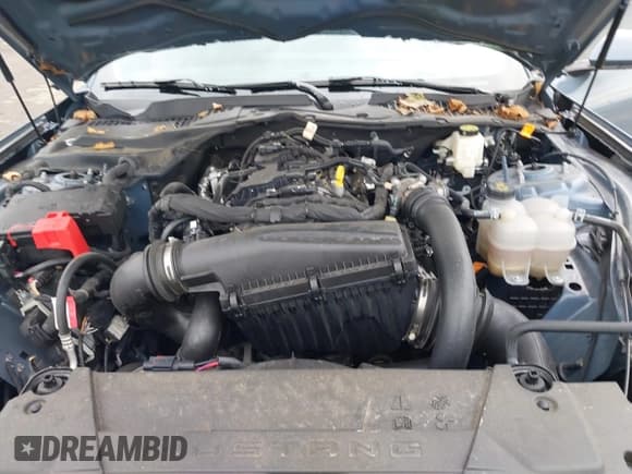 ✅ 2024 Ford Mustang EcoBoost Premium • VIN: 1FA6P8TH5R5147149 • Lot: 43300846. Listed on IAAI with 17,425 mi. Free auction sales archive from the USA and detailed vehicle history report at DreamBid. Image 10.