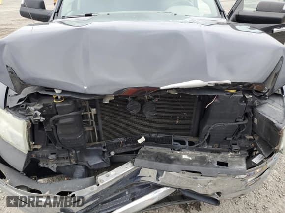 ✅ 2010 Dodge 1500 Sport • VIN: 1D7RV1CT8AS193093 • Lot: 85918234. Wystawiony na Copart z przebiegiem 161 418 mil. Bezpłatny archiwum sprzedaży aukcyjnych z USA i szczegółowy raport historii pojazdu na DreamBid. Zdjęcie 11.