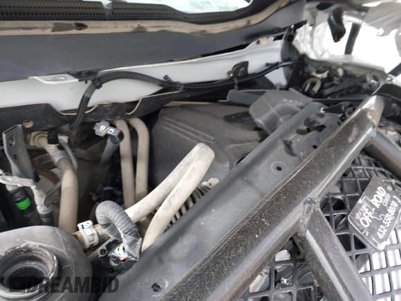 ✅ 2019 Chevrolet Silverado 2500HD LT • VIN: 1GC1KSEG3KF123629 • Lot: 41554328. Wystawiony na IAAI z przebiegiem Nie podano. Bezpłatny archiwum sprzedaży aukcyjnych z USA i szczegółowy raport historii pojazdu na DreamBid. Zdjęcie 10.