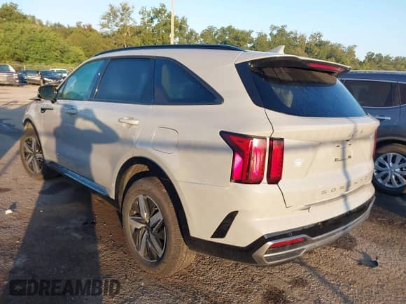 2022 Kia Sorento EX с VIN 5XYRH4LF3NG103132, выставлен на аукционе IAAI как лот 43276075 с пробегом 30 950 миль миль и . История ставок и продаж доступна на DreamBid. Изображение 3.