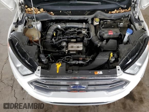 ✅ 2021 Ford EcoSport Titanium • VIN: MAJ3S2KE1MC439567 • Лот: 51153965. Опубликован ранее на Copart с пробегом 113 468 миль. Бесплатный доступ к архиву аукционных продаж из США и подробный отчёт об истории автомобиля на DreamBid. Изображение 11.