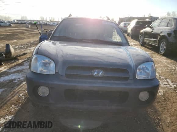 2005 Hyundai Santa Fe z VIN KM8SB73D65U991596, wystawiony jako Copart lot #89161285 z przebiegiem 380 167 mil mil oraz Szkoda całkowita • Salvage title. Historia ofert i sprzedaży dostępna na DreamBid. Obrazek 5.
