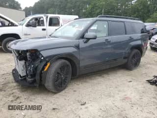 2024 Hyundai Santa Fe Calligraphy с VIN 5NMP5DG1XRH014569, выставлен на аукционе Copart как лот 65994945 с пробегом 8 910 миль миль и Списание • Salvage title. История ставок и продаж доступна на DreamBid. Изображение 1.