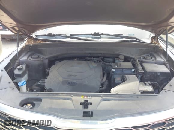 ✅ 2020 Kia Telluride S • VIN: 5XYP64HC6LG069082 • Lot: 43245583. Listed on IAAI with 184,618 mi. Free auction sales archive from the USA and detailed vehicle history report at DreamBid. Image 10.