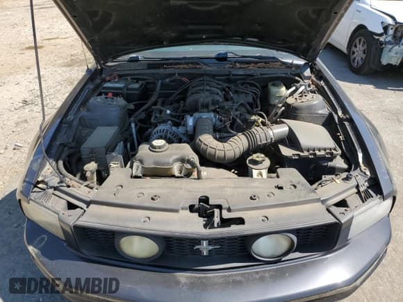 ✅ 2011 Ford Mustang Deluxe • VIN: 1ZVHT84NX75207861 • Lot: 50867455. Listed on Copart with Not provided. Free auction sales archive from the USA and detailed vehicle history report at DreamBid. Image 11.