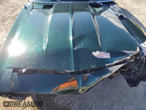 ✅ 1969 Chevrolet Camaro • VIN: 124679L505029 • Lot: 48048965. Listed on Copart with Not provided. Free auction sales archive from the USA and detailed vehicle history report at DreamBid. Image 11.