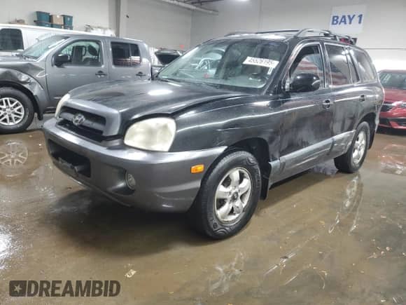 2005 Hyundai Santa Fe GLS с VIN KM8SC13E75U943561, выставлен на аукционе Copart как лот 45526195 с пробегом 98 640 миль миль и Списание • Salvage title. История ставок и продаж доступна на DreamBid. Изображение 1.