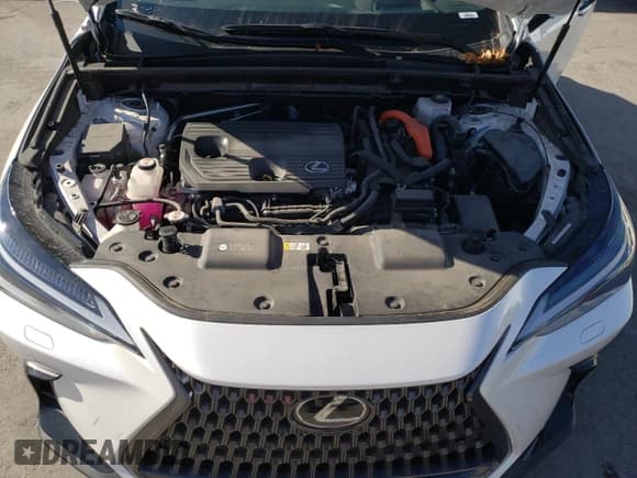 ✅ 2022 Lexus NX 350h Luxury • VIN: JTJHKCEZ5N5003392 • Lot: 81854493. Listed on Copart with 19,653 mi. Free auction sales archive from the USA and detailed vehicle history report at DreamBid. Image 12.