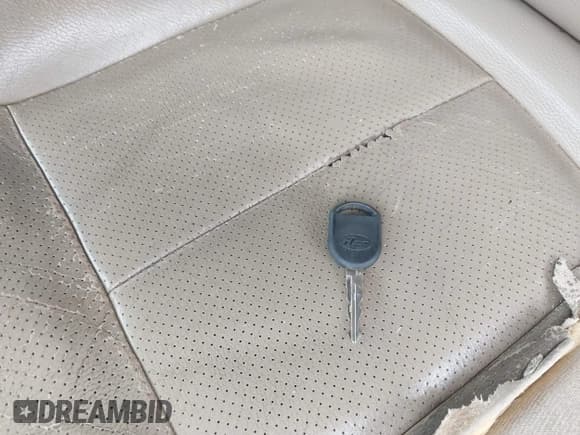 ✅ 2009 Ford F-150 XL • VIN: 1FTPW14VX9KB41670 • Lot: 42246163. Listed on IAAI with 214,499 mi. Free auction sales archive from the USA and detailed vehicle history report at DreamBid. Image 11.