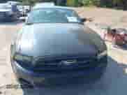 2014 Ford Mustang V6 с VIN 1ZVBP8AM2E5247130, выставлен на аукционе IAAI как лот 43260987 с пробегом 88 623 миль миль и . История ставок и продаж доступна на DreamBid. Изображение 13.