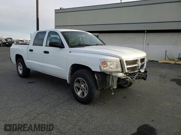 2010 Dodge Dakota ST with VIN 1D7CW2GK6AS125806, listed as a Copart auction lot 81616924 with 223,513 mi miles and Salvage title. Bid and sale history available at DreamBid. Image 11.