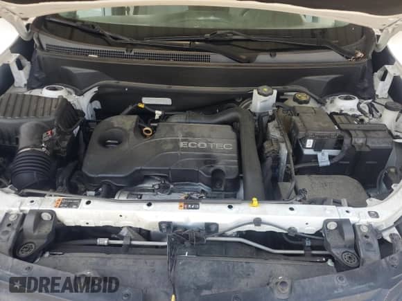 2019 Chevrolet Equinox LS with VIN 3GNAXHEV3KS507805, listed as a Copart auction lot 69104475 with 177,180 mi miles and Salvage title. Bid and sale history available at DreamBid. Image 11.