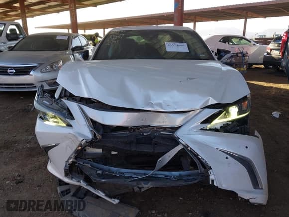✅ 2019 Lexus ES 350 Luxury • VIN: 58ABZ1B12KU047346 • Lot: 43574668. Listed on IAAI with 76,787 mi. Free auction sales archive from the USA and detailed vehicle history report at DreamBid. Image 6.