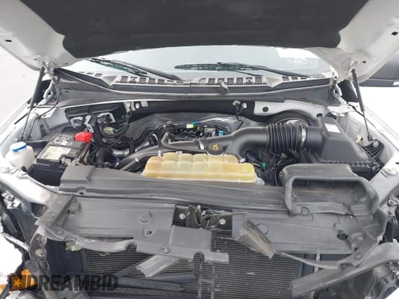 ✅ 2019 Ford F-150 XL • VIN: 1FTEW1CP1KFB59001 • Lot: 43641575. Listed on IAAI with 94,765 mi. Free auction sales archive from the USA and detailed vehicle history report at DreamBid. Image 10.