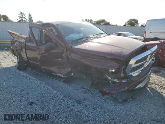 ✅ 2003 Dodge 1500 ST • VIN: 1D7HA18NX3S182844 • Лот: 75624504. Опубликован ранее на Copart с пробегом 134 052 миль. Бесплатный доступ к архиву аукционных продаж из США и подробный отчёт об истории автомобиля на DreamBid. Изображение 4.