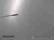 2021 Chevrolet Silverado 1500 LT с VIN 3GCPWCED8MG394732, выставлен на аукционе IAAI как лот 42764952 с пробегом 95 202 миль миль и . История ставок и продаж доступна на DreamBid. Изображение 1.