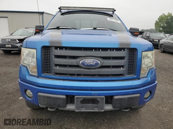 ✅ 2010 Ford F-150 XL • VIN: 1FTFX1EV3AFC01745 • Lot: 63017055. Wystawiony na Copart z przebiegiem 126 060 mil. Bezpłatny archiwum sprzedaży aukcyjnych z USA i szczegółowy raport historii pojazdu na DreamBid. Zdjęcie 6.