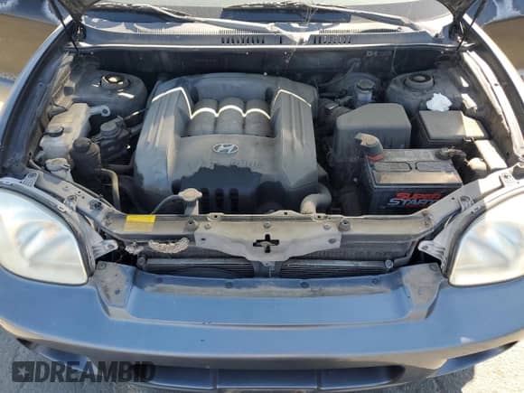 ✅ 2003 Hyundai Santa Fe GLS • VIN: KM8SC13D83U450511 • Лот: 53143485. Размещён на Copart с пробегом 166 622 миль миль. Получите бесплатный доступ к архиву аукционных продаж из США и посмотрите подробный отчёт об истории автомобиля на DreamBid. Изображение 12.