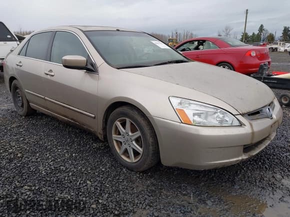 ✅ 2003 Honda Accord EX • VIN: 1HGCM66593A065145 • Lot: 43811321. Listed on IAAI with 124,175 mi. Free auction sales archive from the USA and detailed vehicle history report at DreamBid. Image 1.