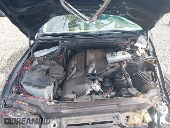 ✅ 2001 BMW 3 Series 330i • VIN: WBAAV53451FT02137 • Lot: 42299879. Listed on IAAI with Not provided. Free auction sales archive from the USA and detailed vehicle history report at DreamBid. Image 10.