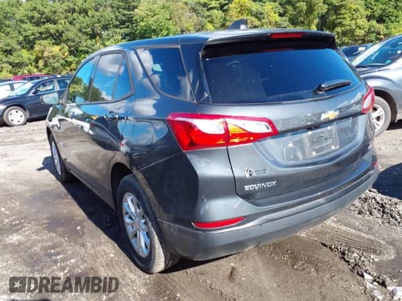 2019 Chevrolet Equinox LS с VIN 2GNAXSEV3K6248888, выставлен на аукционе IAAI как лот 43220048 с пробегом 41 293 миль миль и . История ставок и продаж доступна на DreamBid. Изображение 3.
