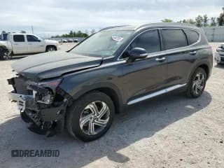 ✅ 2021 Hyundai Santa Fe SEL • VIN: 5NMS34AJ7MH331663 • Lot: 44194793. Wystawiony na Copart z przebiegiem 21 876 mil. Bezpłatny archiwum sprzedaży aukcyjnych z USA i szczegółowy raport historii pojazdu na DreamBid. Zdjęcie 1.