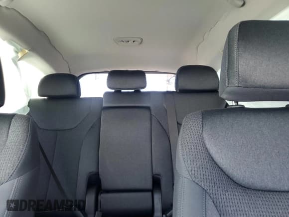 ✅ 2023 Hyundai Santa Fe SEL • VIN: 5NMS2DAJ7PH533636 • Lot: 72717094. Wystawiony na Copart z przebiegiem 35 288 mil. Bezpłatny archiwum sprzedaży aukcyjnych z USA i szczegółowy raport historii pojazdu na DreamBid. Zdjęcie 10.