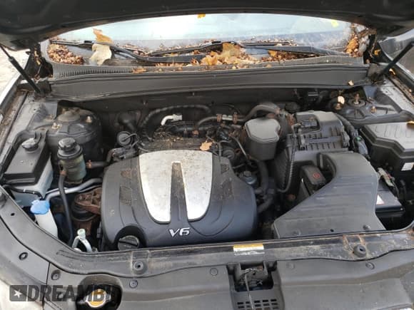 ✅ 2011 Hyundai Santa Fe SE • VIN: 5XYZHDAG5BG075485 • Lot: 78795724. Listed on Copart with 208,862 mi. Free auction sales archive from the USA and detailed vehicle history report at DreamBid. Image 12.