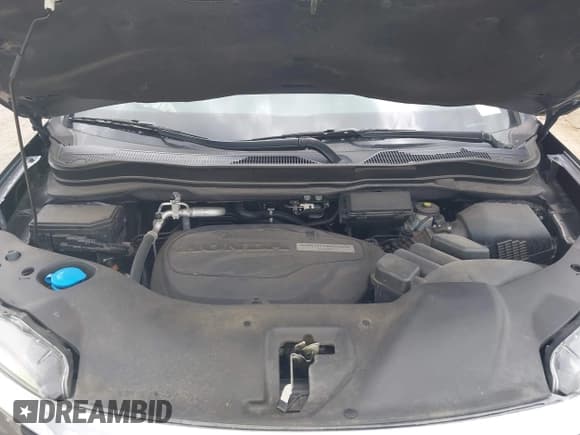 ✅ 2017 Honda Pilot EX-L • VIN: 5FNYF5H55HB038934 • Lot: 42892558. Listed on IAAI with 80,984 mi. Free auction sales archive from the USA and detailed vehicle history report at DreamBid. Image 10.