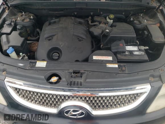 ✅ 2008 Hyundai Veracruz GLS • VIN: KM8NU73C98U073215 • Lot: 93227145. Listed on Copart with 157,564 mi. Free auction sales archive from the USA and detailed vehicle history report at DreamBid. Image 12.