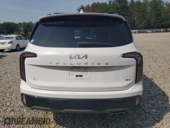 ✅ 2024 Kia Telluride SX Prestige X-Line • VIN: 5XYP5DGCXRG496293 • Lot: 65825045. Listed on Copart with Not provided. Free auction sales archive from the USA and detailed vehicle history report at DreamBid. Image 6.
