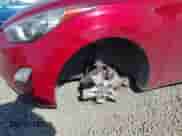 2012 Hyundai Elantra Limited с VIN KMHDH4AE2CU336043, выставлен на аукционе IAAI как лот 43099279 с пробегом 116 357 миль миль и . История ставок и продаж доступна на DreamBid. Изображение 6.