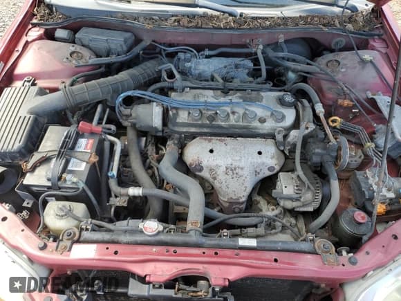 ✅ 2000 Honda Accord SE • VIN: JHMCG567XYC024681 • Lot: 70305475. Listed on Copart with 204,700 mi. Free auction sales archive from the USA and detailed vehicle history report at DreamBid. Image 11.