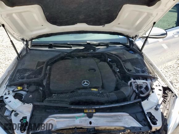 ✅ 2019 Mercedes-Benz C 300 • VIN: 55SWF8DB7KU283213 • Lot: 57432015. Wystawiony na Copart z przebiegiem 83 667 mil. Bezpłatny archiwum sprzedaży aukcyjnych z USA i szczegółowy raport historii pojazdu na DreamBid. Zdjęcie 11.