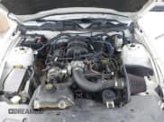 ✅ 2010 Ford Mustang V6 • VIN: 1ZVBP8EN8A5142461 • Lot: 43411465. Listed on IAAI with 170,484 mi. Free auction sales archive from the USA and detailed vehicle history report at DreamBid. Image 10.